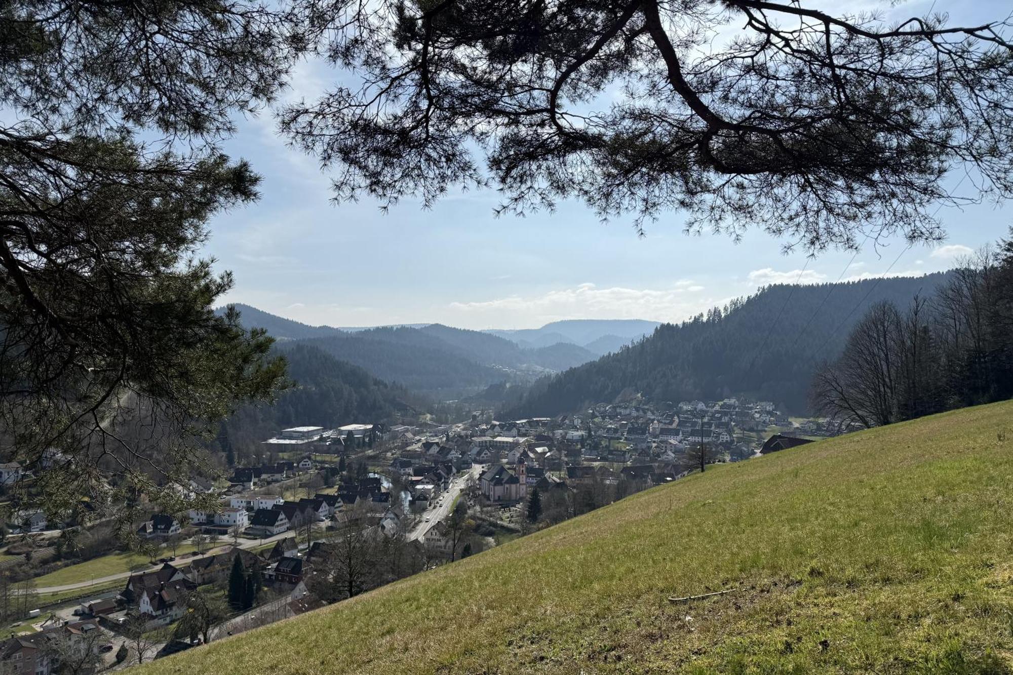 Schwarzwald Blockhaus - Sauna - Kamin - Mit Bettwaesche Und Handtuecher شنكنزل المظهر الخارجي الصورة