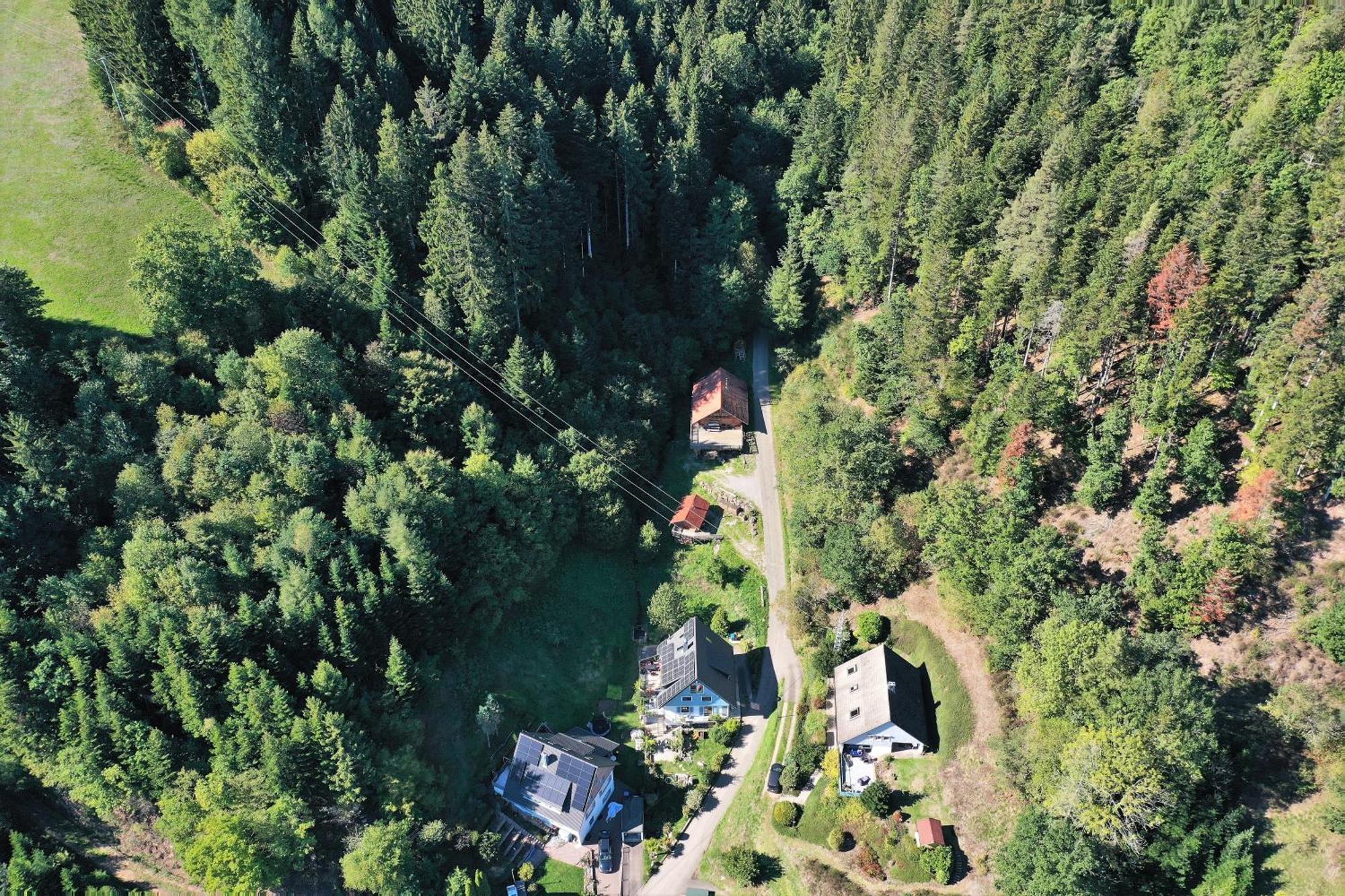 Schwarzwald Blockhaus - Sauna - Kamin - Mit Bettwaesche Und Handtuecher شنكنزل المظهر الخارجي الصورة